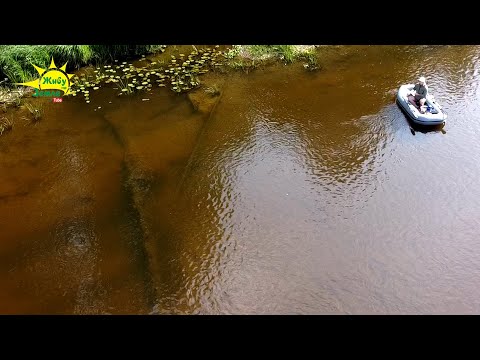 Видео: Каждый Заброс СПИННИНГ В ДУГУ! Глубина По Колено. Вся Рыба с Реки в Одной Ямке. РЫБАЛКА МЕЧТА!