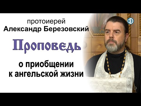 Видео: Проповедь о приобщении к ангельской жизни (2020.11.20). Протоиерей Александр Березовский