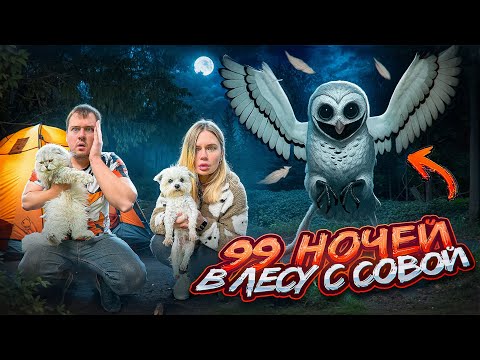 Видео: 99 НОЧЕЙ В ЛЕСУ С ДИКОЙ СОВОЙ | СКРЫВАЕМСЯ В ПАЛАТКЕ С КОТОМ И СОБАКОЙ
