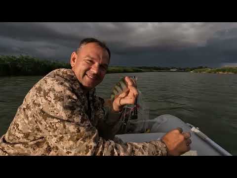 Видео: Сотня Окуней!!   Река Маныч