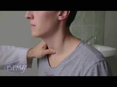 Видео: Пальпация щитовидной железы