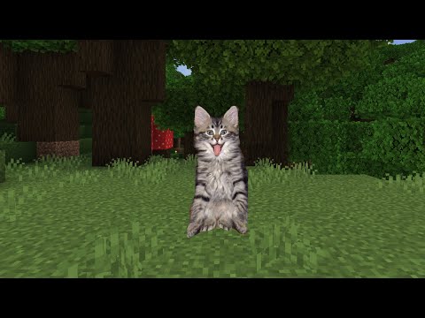 Видео: когда подписчик прислал карту: