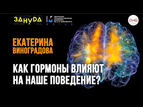 Видео: Как гормоны влияют на наше поведение? Екатерина Виноградова.