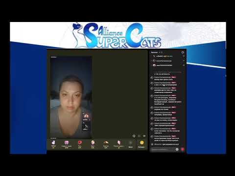 Видео: Выставка кошек 15 ноября Ашдод. Скидка 1+1 на выставку кошек. Посплетничаем )).