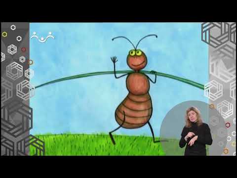 Видео: Доброе Слово. Баран, Пес, Кот. Обида