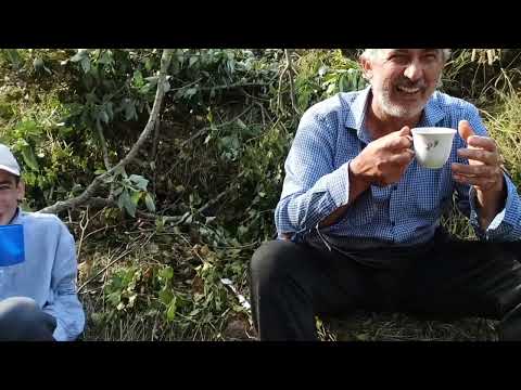 Видео: поход к серному источнику,