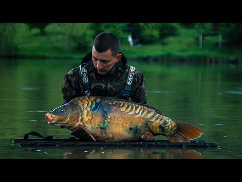 Видео: ЭТО П#ЗДЕЦ ПОПАЛИ в ШТОРМ. ТРОФЕЙНЫЙ КАРПФИШИНГ . ЛУЧШАЯ РЫБАЛКА В ЖИЗНИ. Ловля карпа , сазана