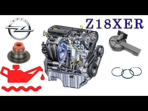 Видео: Opel Zafira B Z18XER масложор