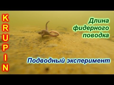 Видео: Можно ли "оторвать" насадку от дна удлинив поводок? Фидер.