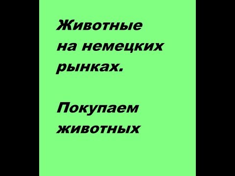 Видео: Покупка животных на рынке в Германии. Кролиководство. Птицеводство.