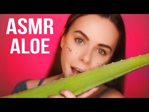 Видео: АСМР ЛИПКИЕ СОЧНЫЕ ЗВУКИ 💚 АЛОЭ / ASMR ALOE VERA