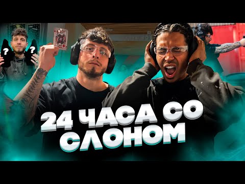 Видео: 24 ЧАСА СО СЛОНОМ 2DROTS