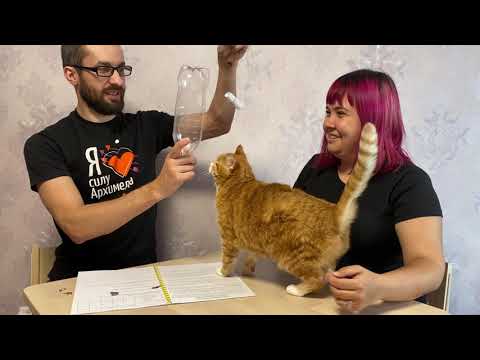 Видео: Лабораторная работа: Статическое электричество