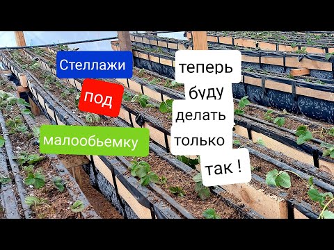 Видео: Клубника на стеллажах. Малообьемка на органике