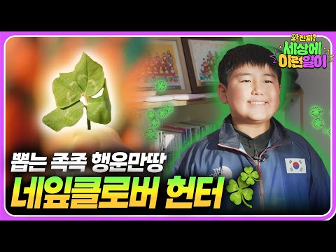 Видео: Человек, распространяющий удачу🍀💚