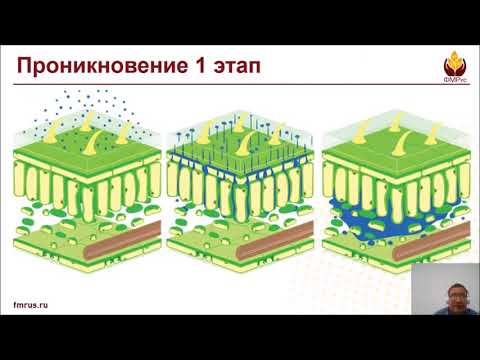 Видео: Осеннее применение глифосатов