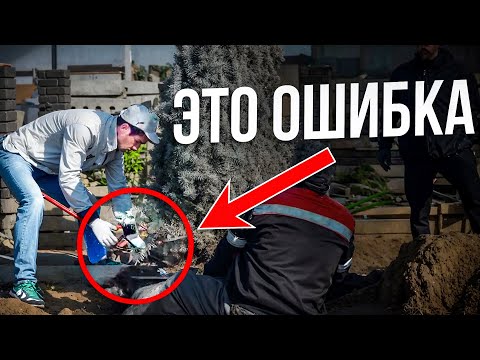 Видео: Почему вы НЕПРАВИЛЬНО садите деревья на участке? Мой опыт озеленения. Сколько потратил?