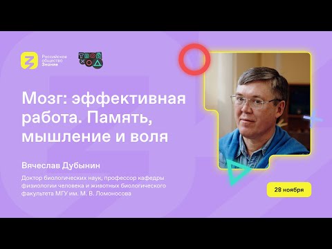 Видео: Мозг: эффективная работа. Память, мышление и воля