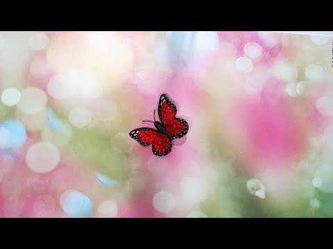 Видео: Двусторонняя художественная гладь.Вышивка броши бабочка.