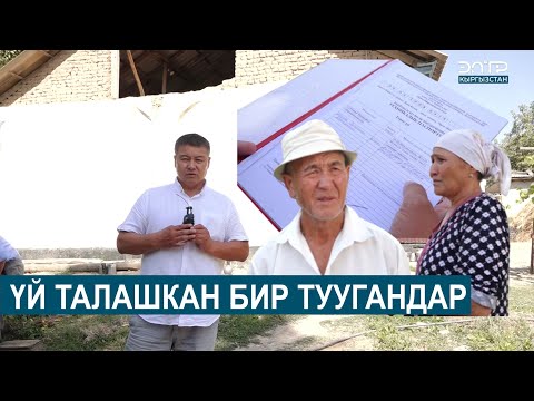 Видео: ҮЙ ТАЛАШКАН БИР ТУУГАНДАР // ШИБЕГЕ