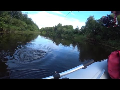 Видео: РЫБАЛКА, СПЛАВ ПО ТАЁЖНОЙ РЕКЕ, НОЧЬ В ПАЛАТКЕ, ГОТОВИМ УЖИН. ДЕНЬ ПЕРВЫЙ.