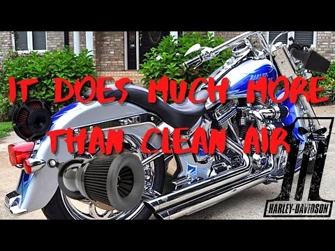 Видео: Накормите зверя! Воздухоочистители Harley могут улучшить или разрушить вашу сборку