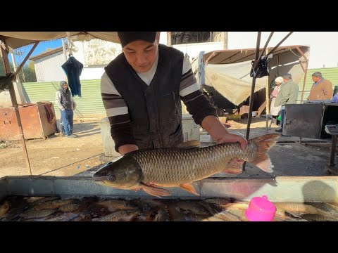 Видео: ТУРТКУЛ БАЛИК БОЗОРИ 5 ноября 2025 г.