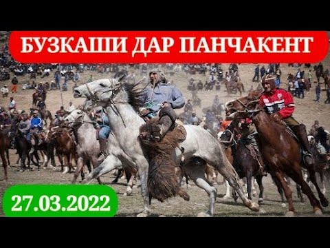Видео: БУЗКАШИ ДАР ПАНЧАКЕНТ (ЧИНОР) 27.03.2022
