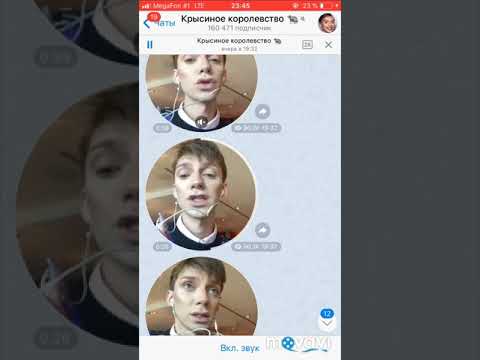 Видео: Почему Андрей Петров уволил Марину (асистента ) ?