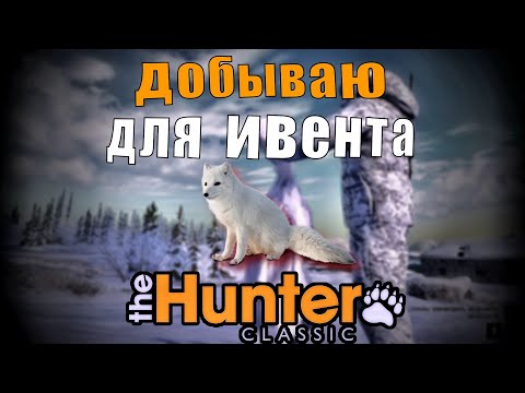 Видео: Добываю 20 песцов во время ивента The Hunter Classic