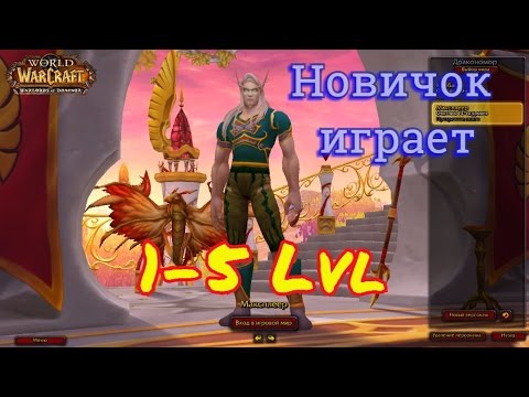 Видео: World of warcraft. Охотник. Эльф #2