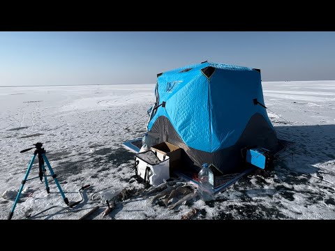 Видео: ДВЕ МОРОЗНЫЕ НОЧИ РЫБАЛКИ НА СУДАКА В ОГРОМНОМ ОЗЕРЕ, ЗАМЕРЗЛИ УСТАЛИ НО РЫБУ ПОЙМАЛИ