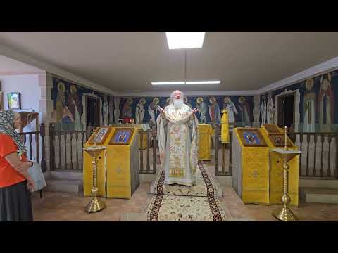 Видео: Жизнь Паисия Святогорца как пример личной святости и пути стяжания благодати Духа Святого