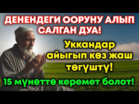 Видео: Күчтүү дуба денедеги ооруну чыгарып таштайт! 17 мүнөттө айыгуу келет!