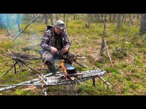 Видео: Стоянка на болоте | Компот из клюквы | Кружка из гриба | Бушкрафт | Одиночный поход | пвд
