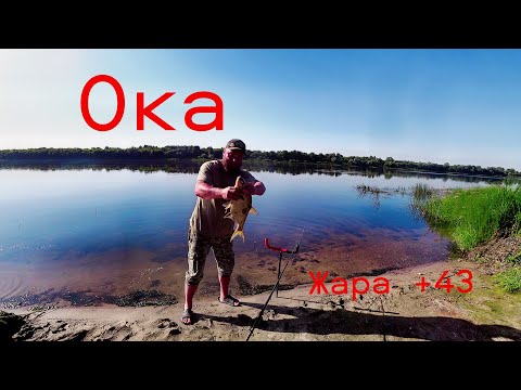Видео: Рыбалка на Оке. Ловим Лещей в +43