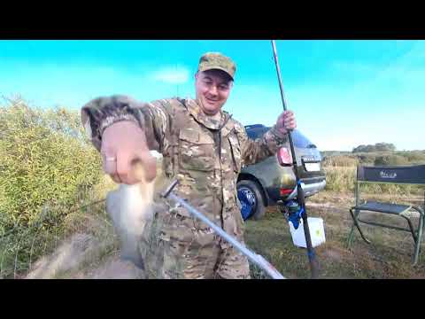 Видео: МЕГА БЕШЕНЫЙ КЛЁВ КРУПНОГО КАРАСЯ !!!!