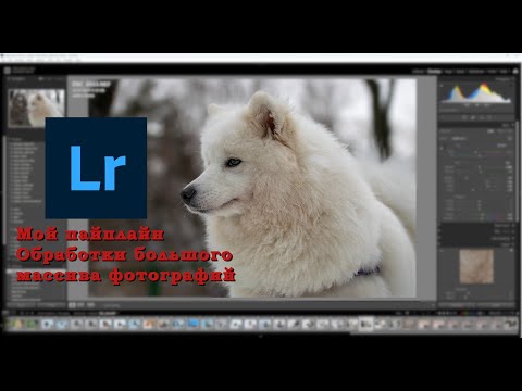 Видео: Пайплайн обработки фотографий в Lightroom