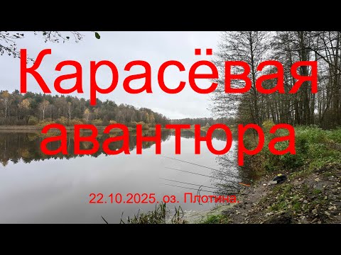 Видео: Карасёвая авантюра или поработал мусорщиком. 22.10.2025. Озеро Плотина. Рыбалка в Подмосковье.