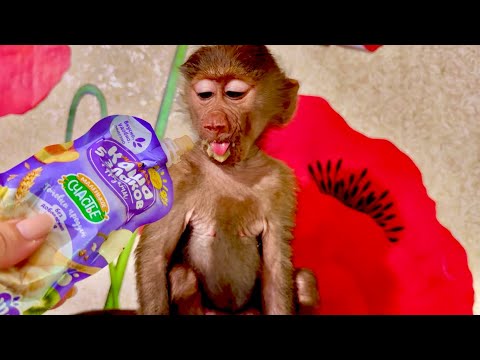 Видео: Малышка Тося ОЧЕНЬ УМНЕНЬКАЯ, сама кушает кашу и сама нашла себе домик)