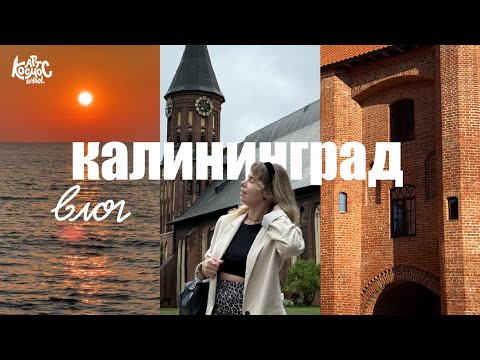Видео: Калининград и область | что посмотреть, где поесть и куда ехать на море |  Влог