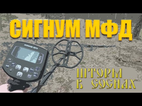 Видео: Тест на полигоне - Сигнум МФД программа 3 (Nel Storm 7 кГц)