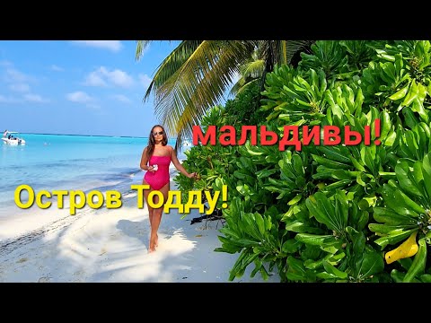 Видео: Снорклинг 🤿 с черепахой🐢. Остров ТОДДУ! THODDOO!