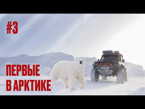 Видео: КАК ПРОЕХАТЬ 400 КМ ПО МОРСКОМУ ЛЬДУ НА КОЛЕСАХ. ВСТРЕЧА С БЕЛЫМ МЕДВЕДЕМ НА ОСТРОВЕ ВИЛЬКИЦКОГО #3