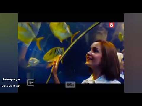 Видео: История реклам флеш-приложений (NIKITA, Infon)