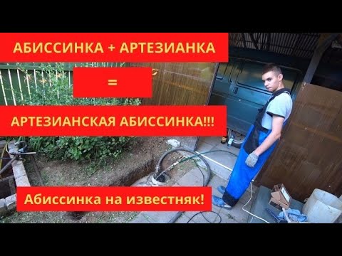 Видео: Такого еще было! Абиссинка на известняк! There was still such a thing! Abyssinian on limestone!