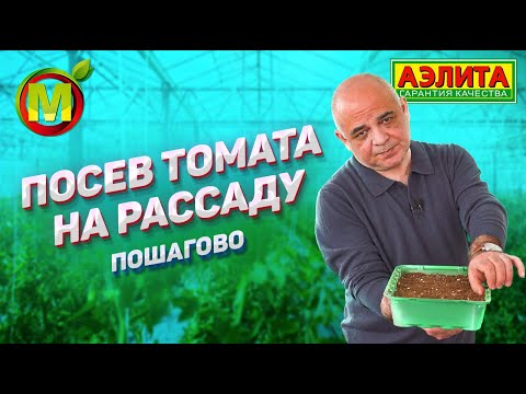 Видео: СОВЕТУЕМ ДЕЛАТЬ ТАК: Сроки посева томата на рассаду