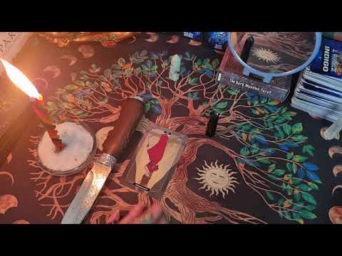 Видео: Вы закрыли шабаш! ❗❗❗