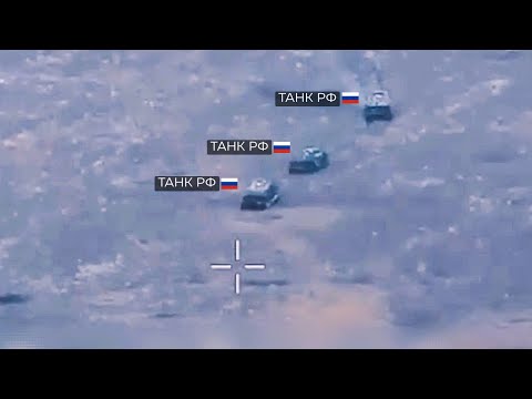 Видео: На спине волос дыбом! Это случилось утром.