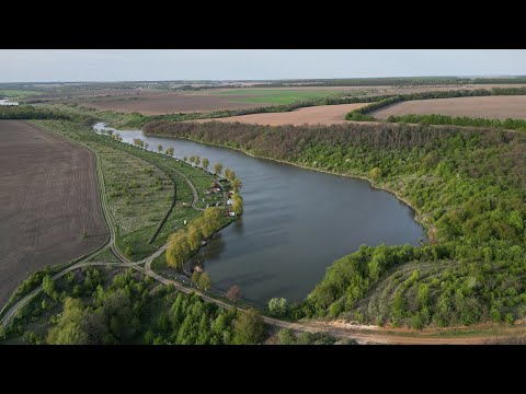 Видео: ПОПАВ на ЖОР коропа. РИБА ДУРІЄ ВІД ЦЬОГО...